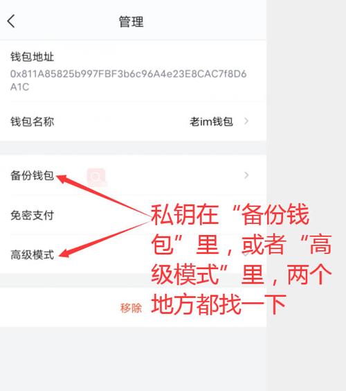 在imToken钱包官网获取技术支持的详细操作步骤全解析