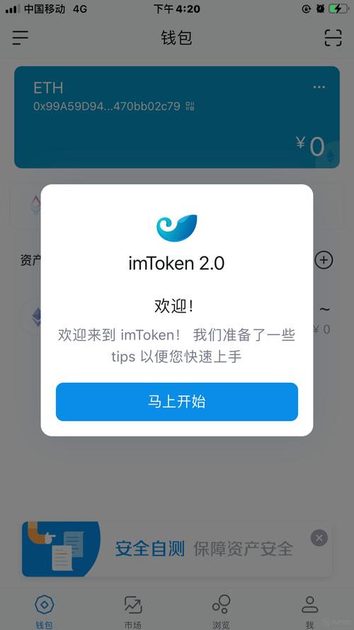 在Tokenim官方应用创建资产记录，详细阐述构建方法与步骤